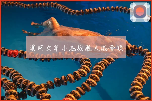 澳网女单小威战胜大威登顶