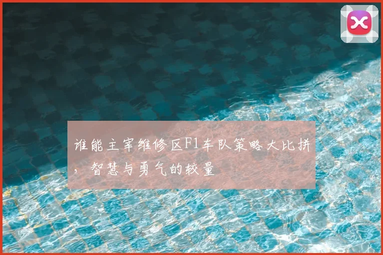 谁能主宰维修区F1车队策略大比拼，智慧与勇气的较量