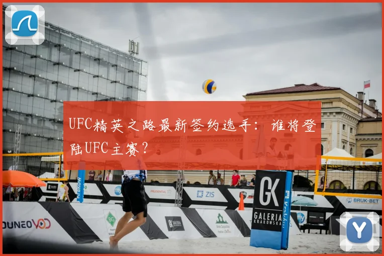 UFC精英之路最新签约选手:谁将登陆UFC主赛?