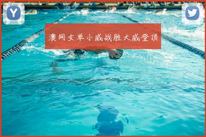 澳网女单小威战胜大威登顶