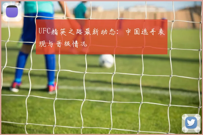 UFC精英之路最新动态:中国选手表现与晋级情况