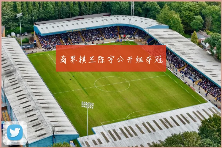 商界棋王陈宇公开组夺冠
