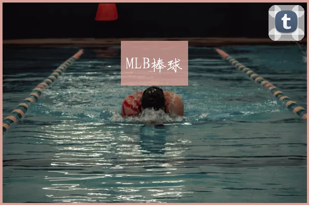 MLB棒球