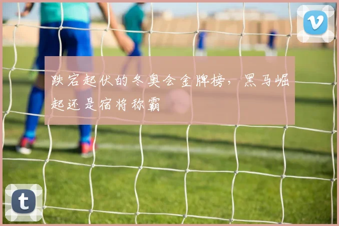 跌宕起伏的冬奥会金牌榜,黑马崛起还是宿将称霸