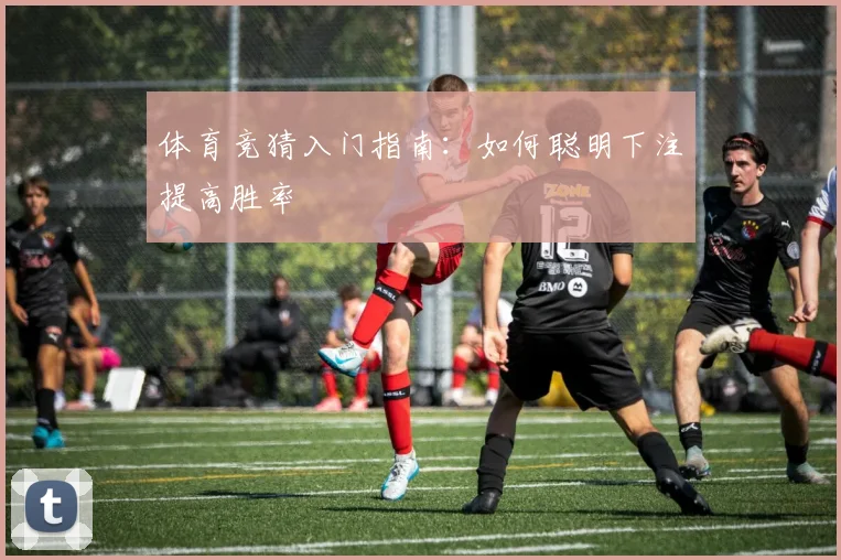 体育竞猜入门指南：如何聪明下注提高胜率