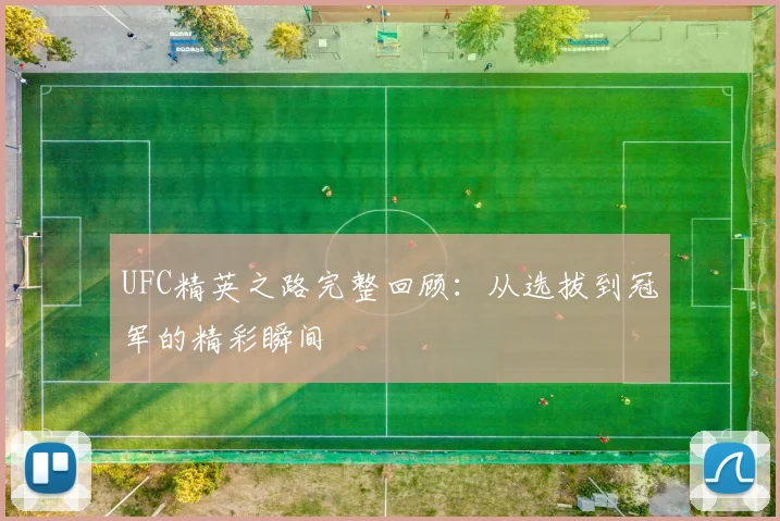UFC精英之路完整回顾:从选拔到冠军的精彩瞬间