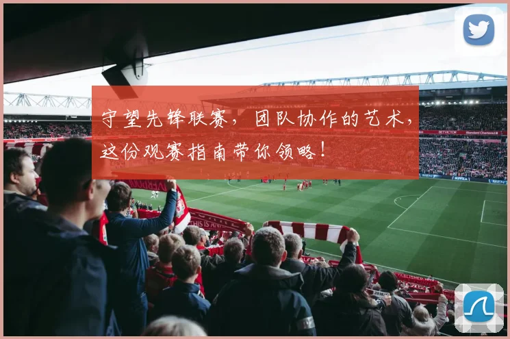 守望先锋联赛,团队协作的艺术,这份观赛指南带你领略!