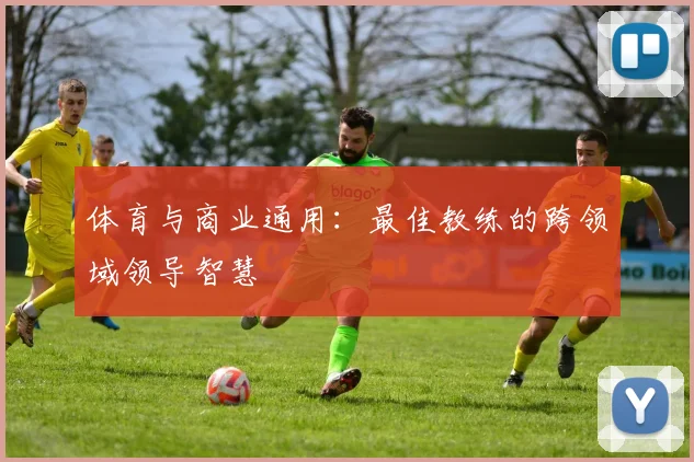 体育与商业通用:最佳教练的跨领域领导智慧