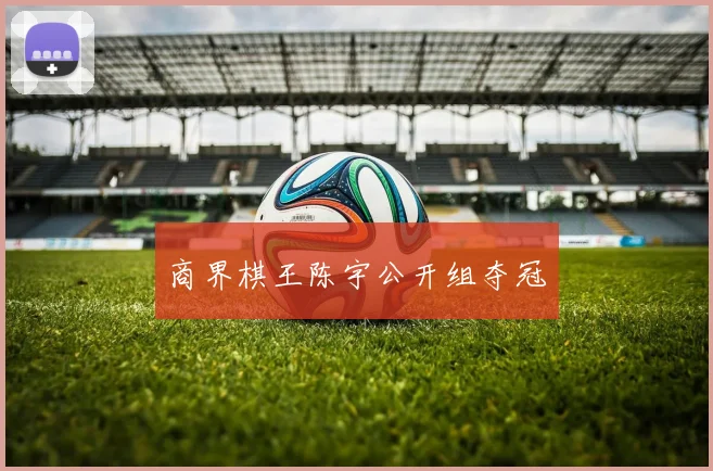 商界棋王陈宇公开组夺冠